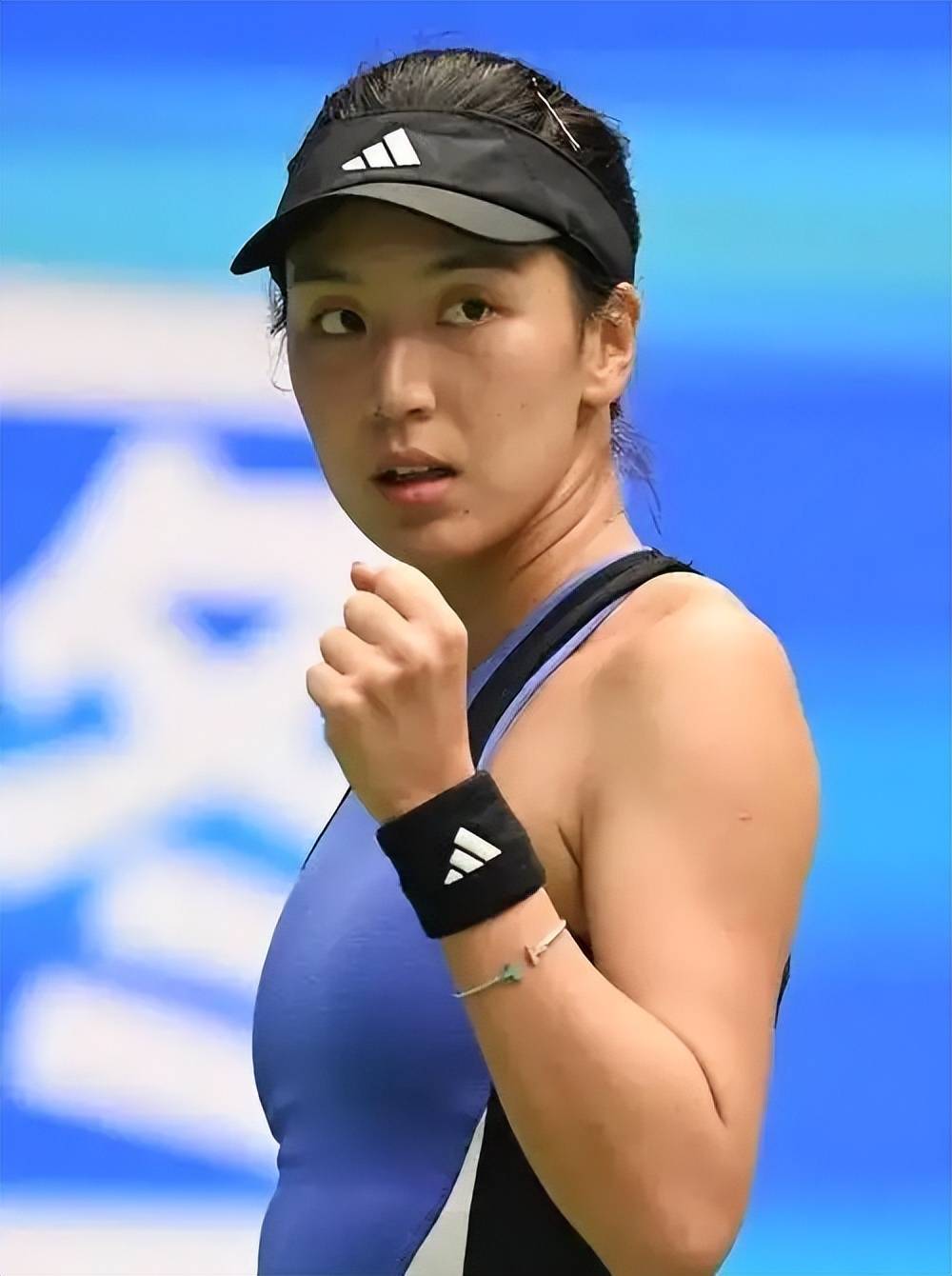 斯塔尼希奇 斯塔尼希奇